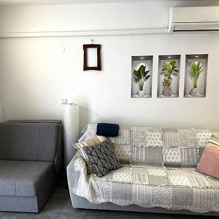 Mirta Deluxe Superior 5 Star Apartment, Your Piece Of Heaven By The Sea & Park, With Sea & Park View Novigrad Istria Eksteriør bilde