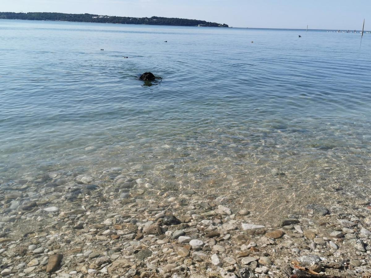 Mirta Deluxe Superior 5 Star Apartment, Your Piece Of Heaven By The Sea & Park, With Sea & Park View Novigrad Istria Eksteriør bilde