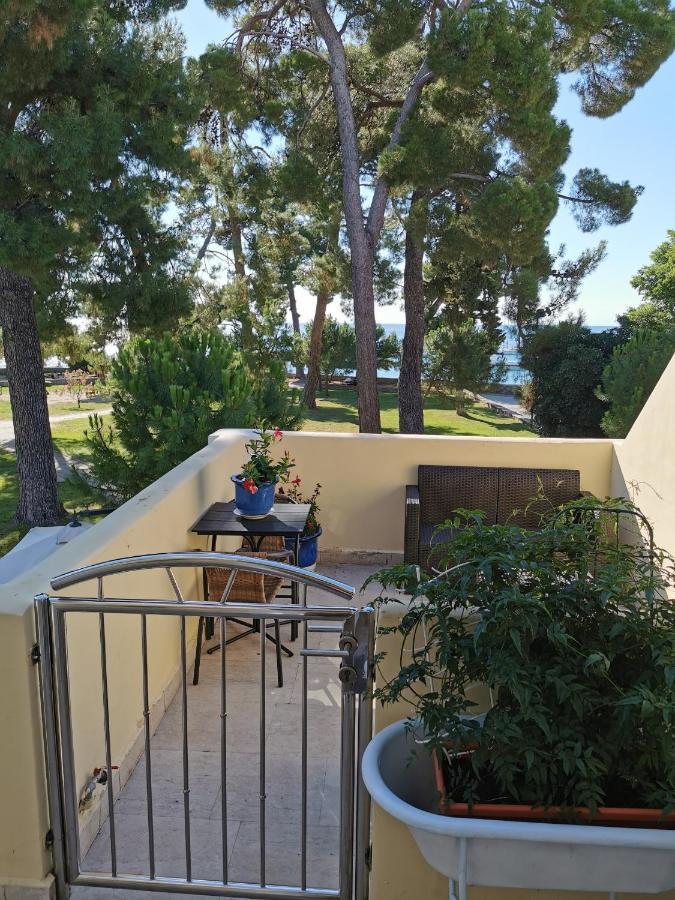 Mirta Deluxe Superior 5 Star Apartment, Your Piece Of Heaven By The Sea & Park, With Sea & Park View Novigrad Istria Eksteriør bilde
